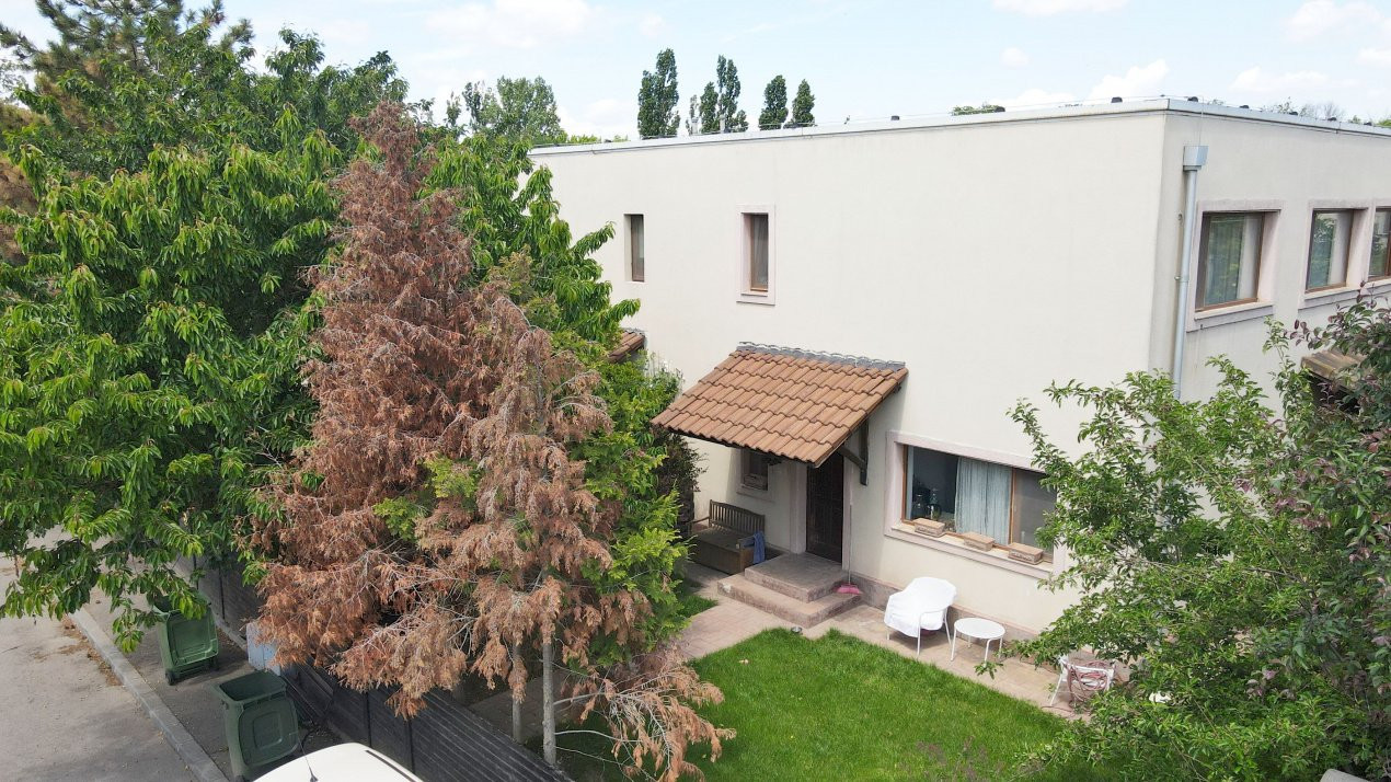 Green City. Casa frumoasa, gradina si liniste de vanzare