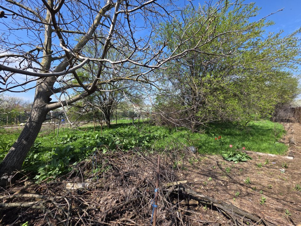 Investiție ideală în Clinceni – Teren 1.655mp