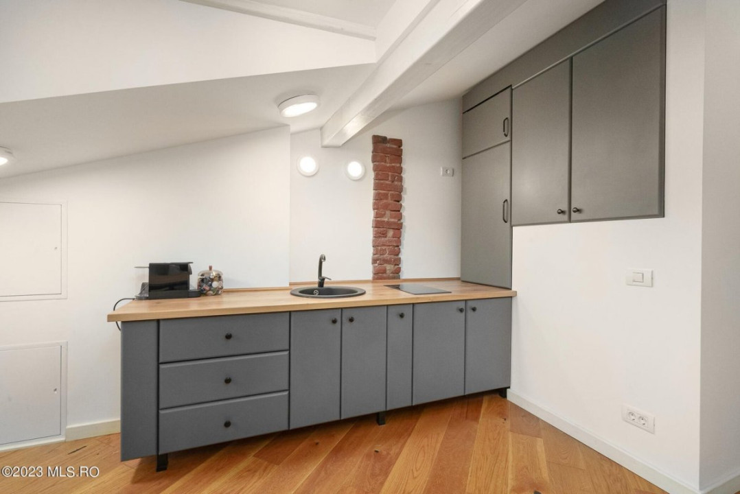 COTROCENI-GRADINA BOTANICA STUDIO LA CHEIE, 33 MP!