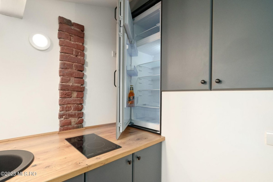 COTROCENI-GRADINA BOTANICA STUDIO LA CHEIE, 33 MP!