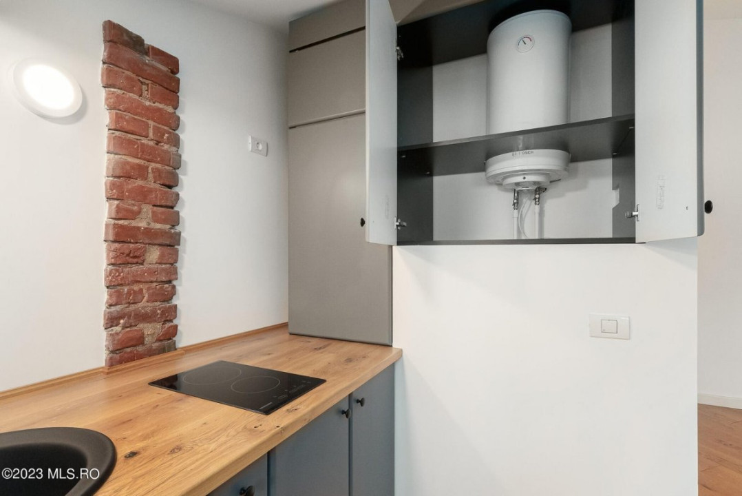 COTROCENI-GRADINA BOTANICA STUDIO LA CHEIE, 33 MP!