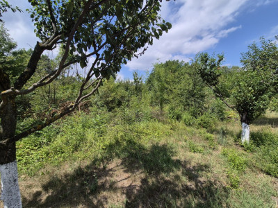 Teren de inchiriat – Voluntari, Strada Popasului 616mp