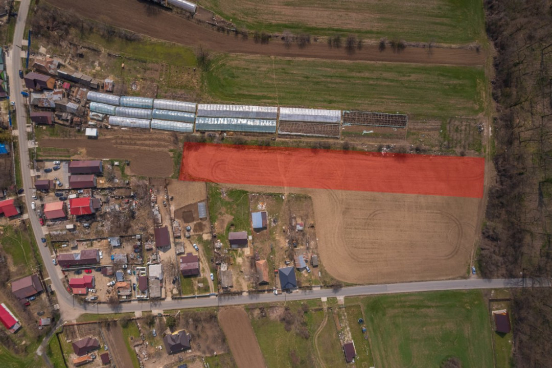 NUCI - BALTA NEAGRA, LOT 3900 MP, LA PADURE!