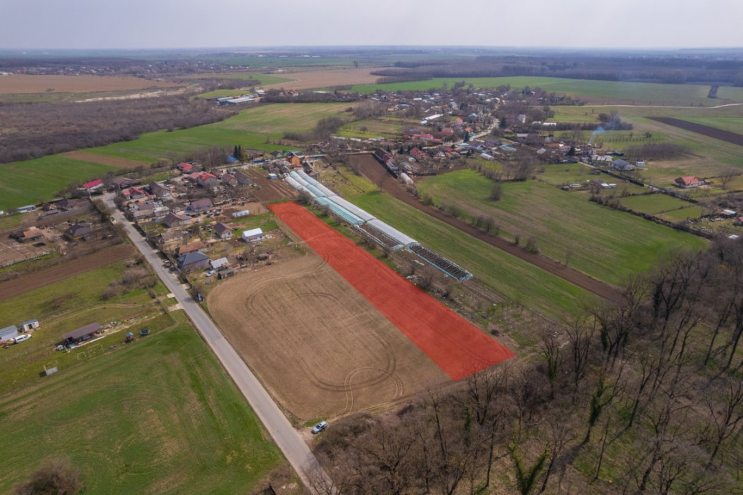 NUCI - BALTA NEAGRA, LOT 3900 MP, LA PADURE!