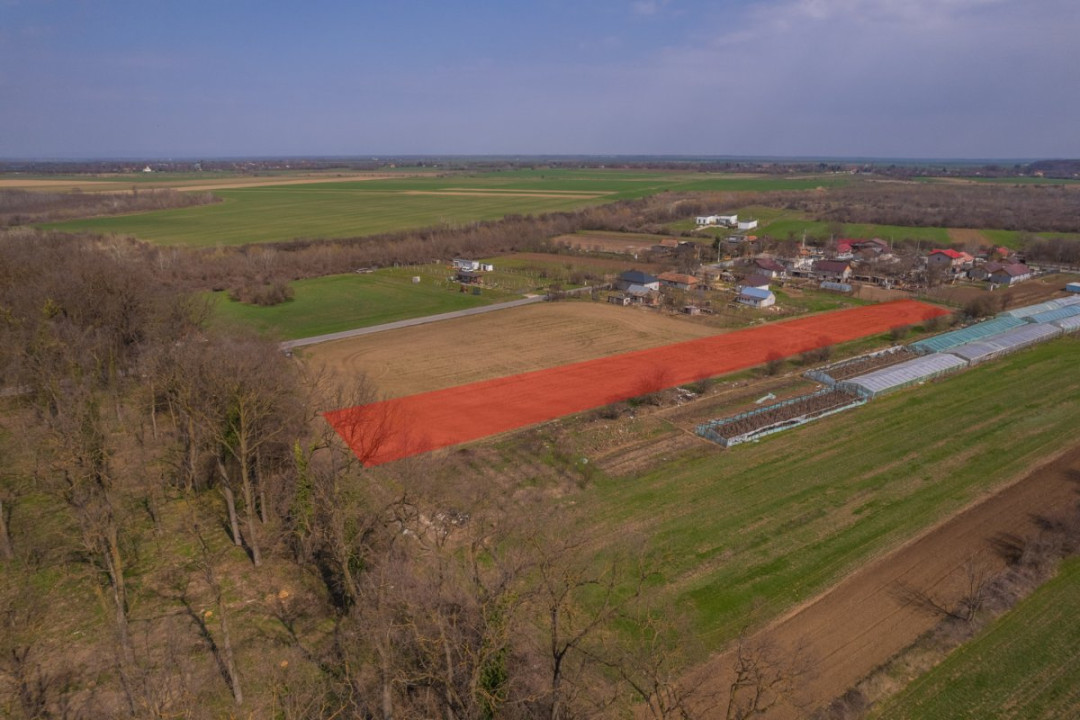 NUCI - BALTA NEAGRA, LOT 3900 MP, LA PADURE!