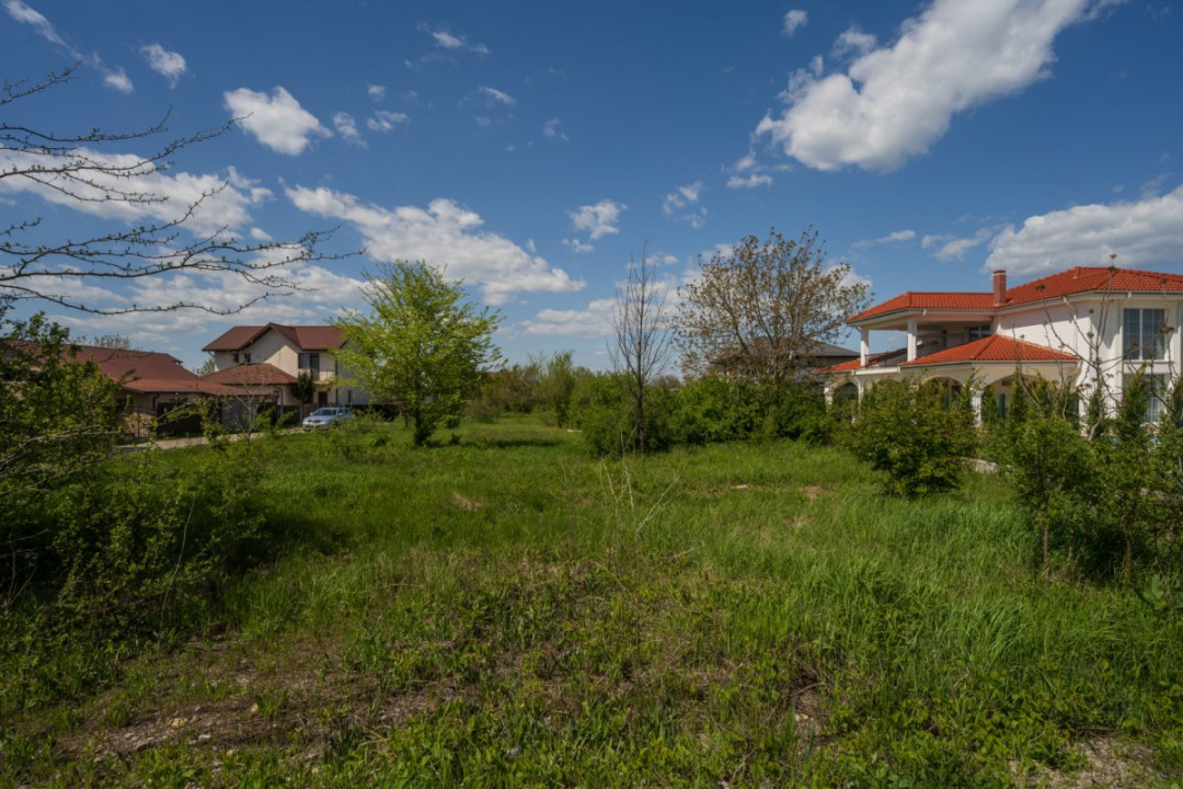 SNAGOV - CIOFLICENI TEREN CONSTRUCTII 830 MP, LOT DE COLȚ!