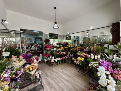 Investitie - Spatiu comercial ultracentral, inchiriat cu 900 Euro