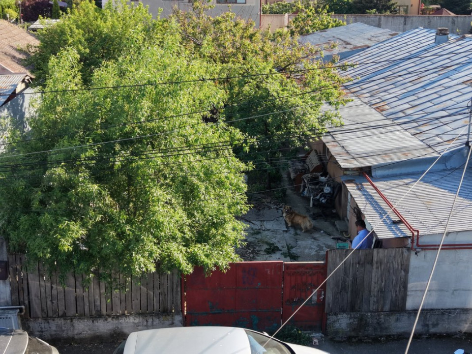 Popești Leordeni, teren 203mp cu casă demolabila/renovabila, singur curte