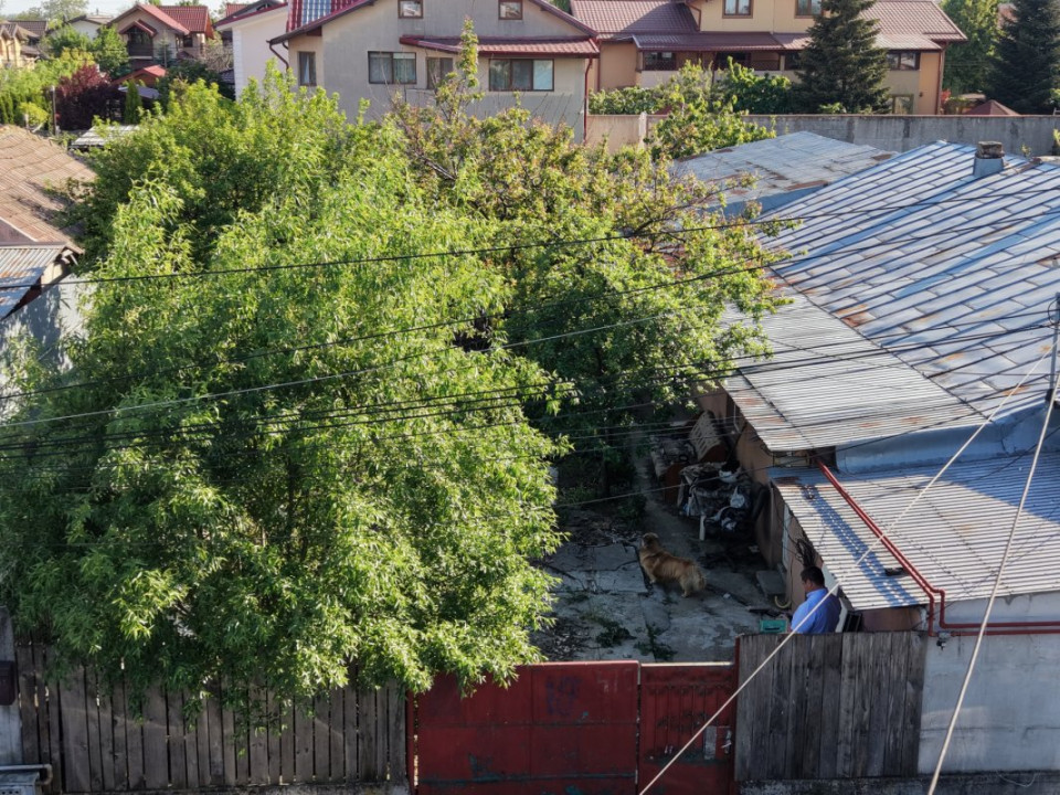 Popești Leordeni, teren 203mp cu casă demolabila/renovabila, singur curte
