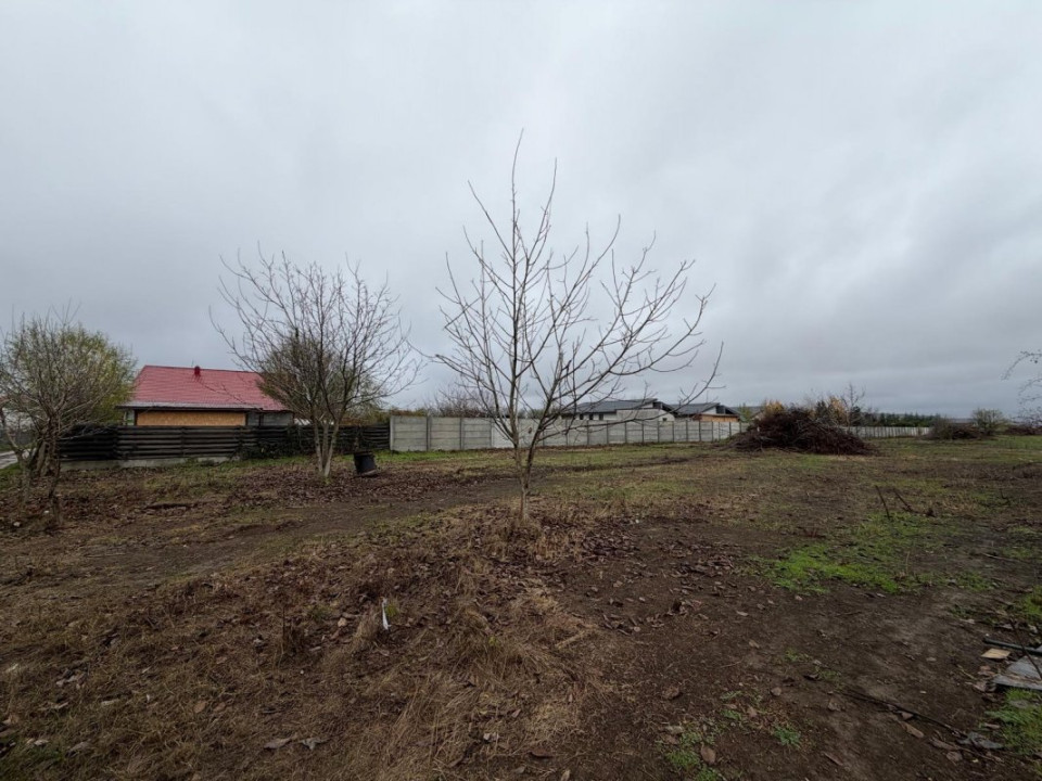 Corbeanca-Tamasi Oportunitate excelenta pentru dezvoltare rezidentiala