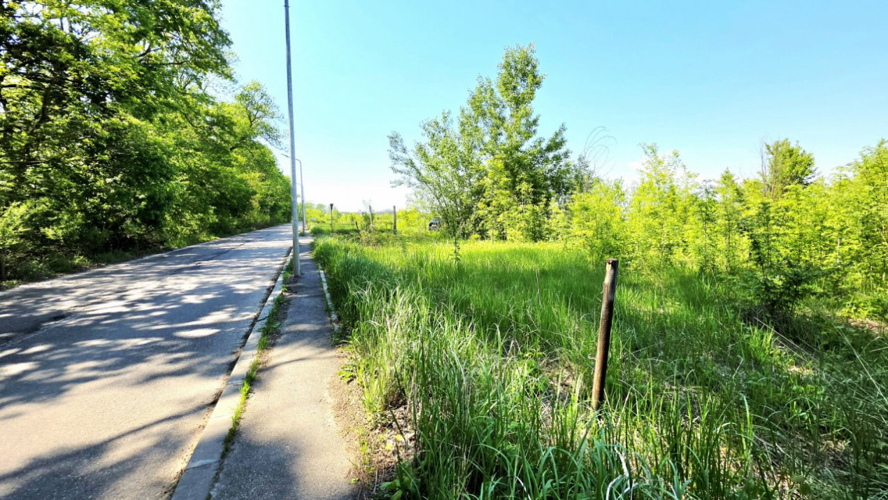Teren intravilan, 2 fronturi, Drumul Padurea Pustnicu 65 - Greenfield