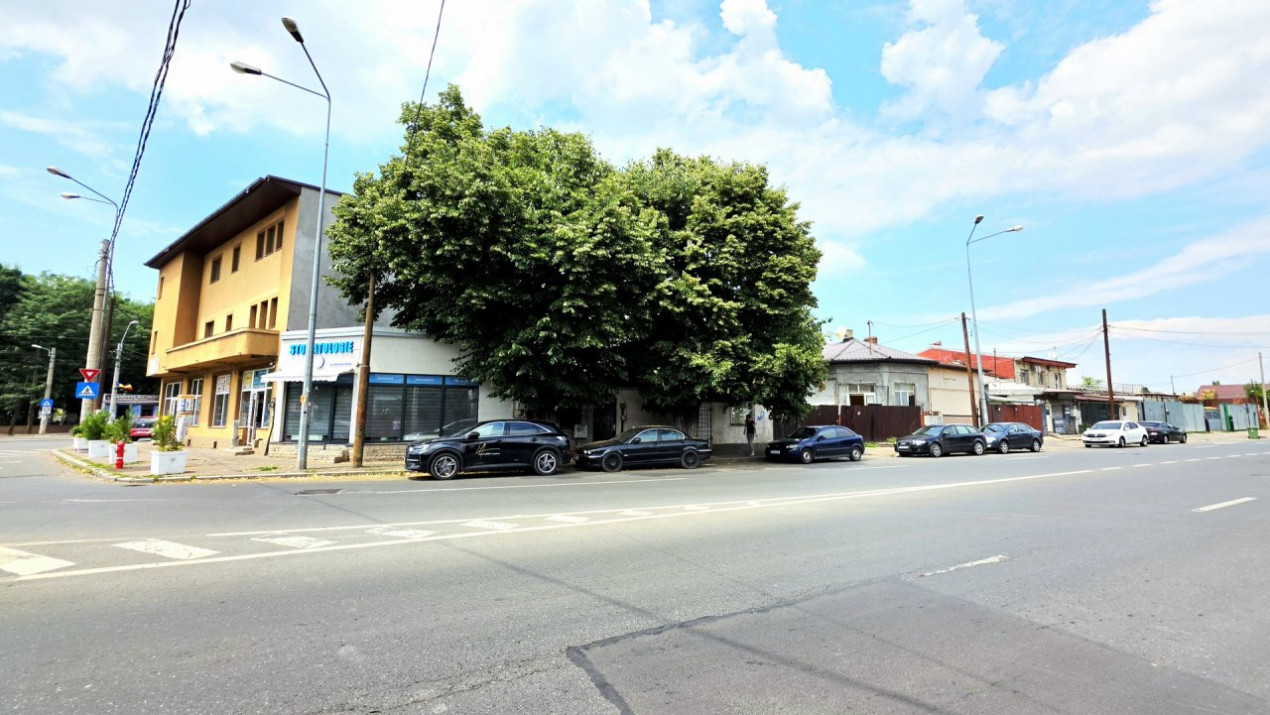 Pieptanari 100. Casele din umbra teilor. Rezidential sau comercial?