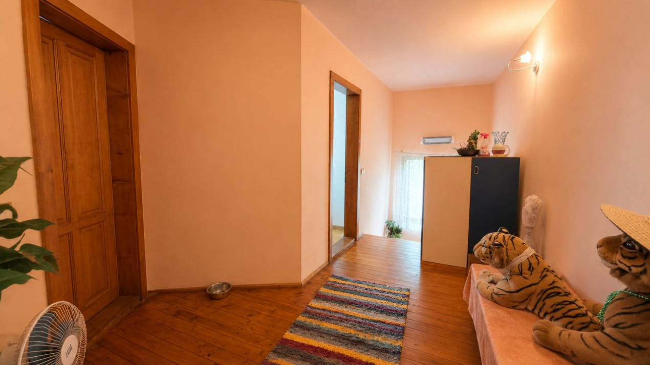 Pieptanari 100. Casele din umbra teilor. Rezidential sau comercial?
