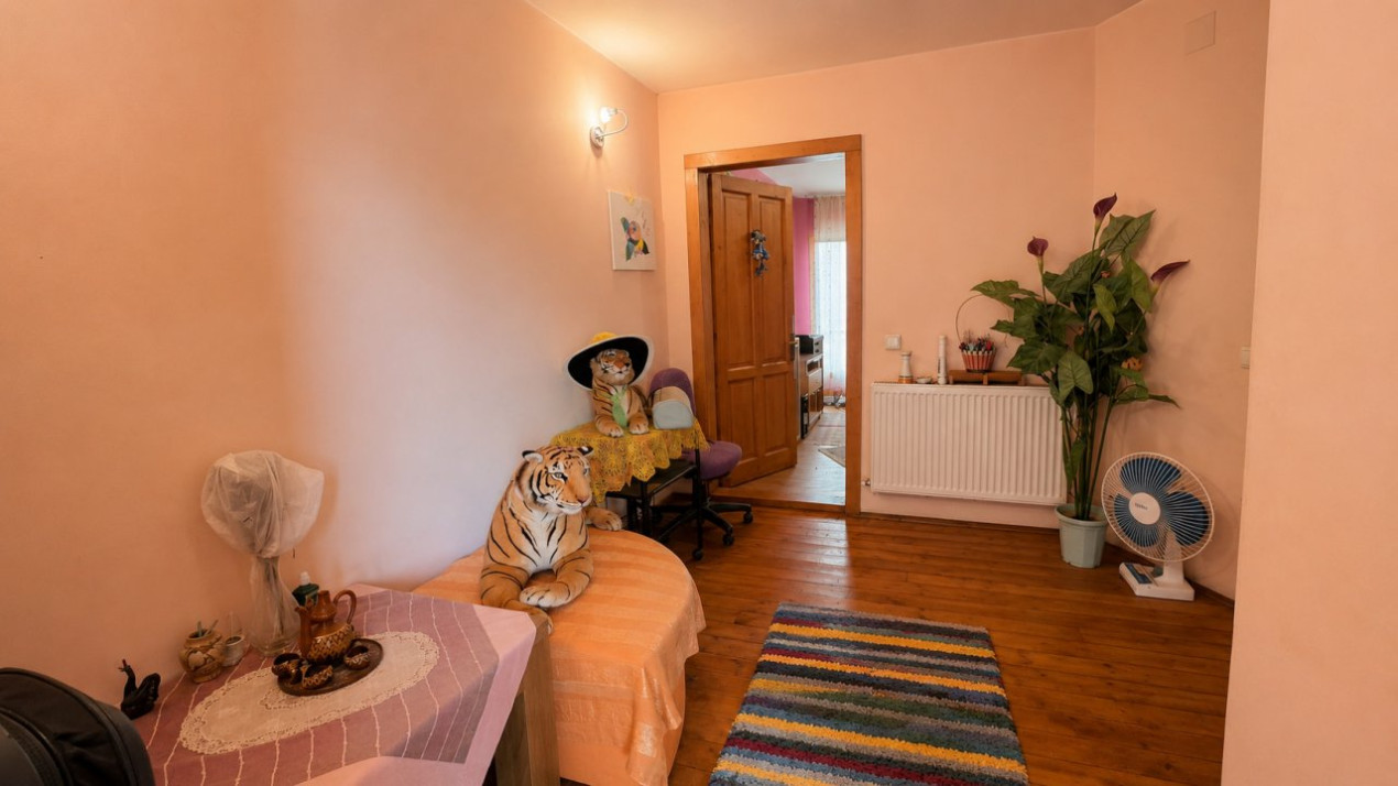Pieptanari 100. Casele din umbra teilor. Rezidential sau comercial?