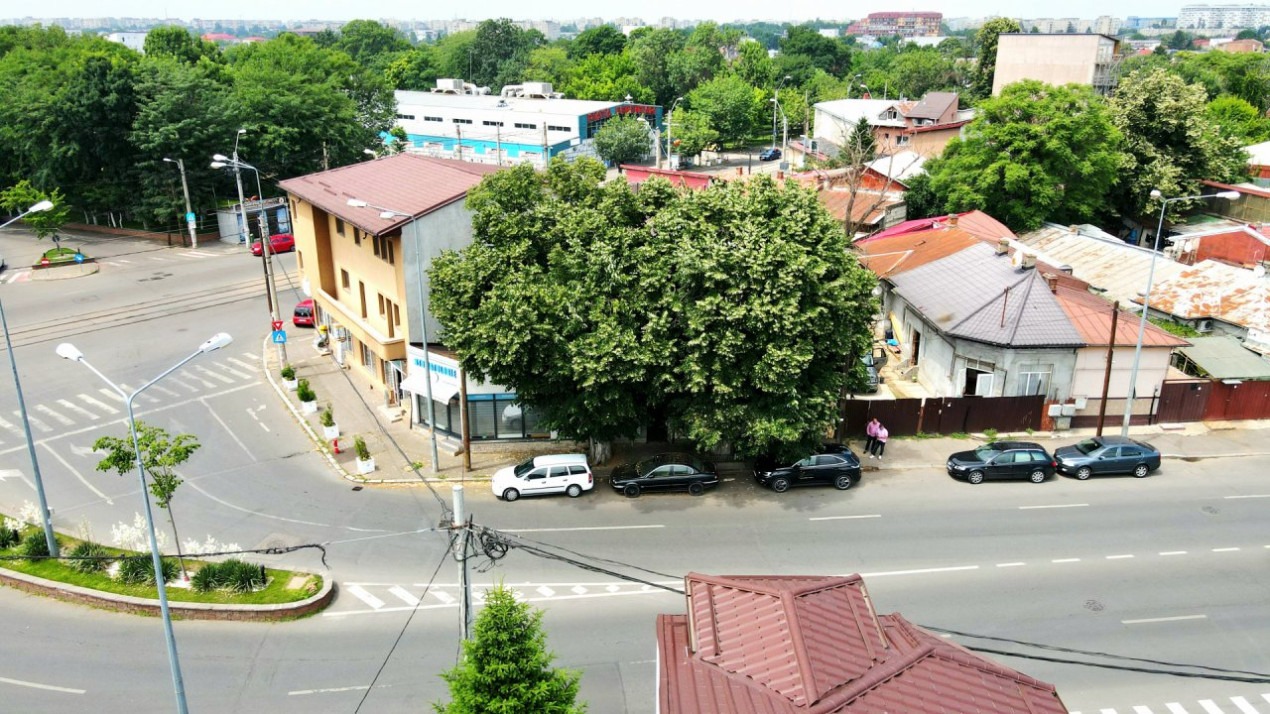 Pieptanari 100. Casele din umbra teilor. Rezidential sau comercial?