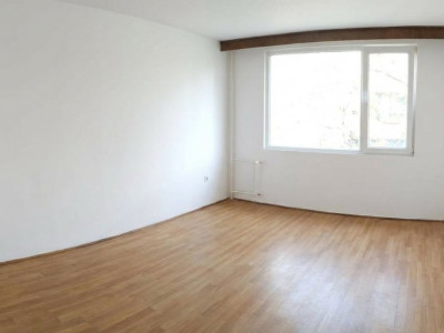 Apartament 2 Camere Decomandat Parc Moghioros