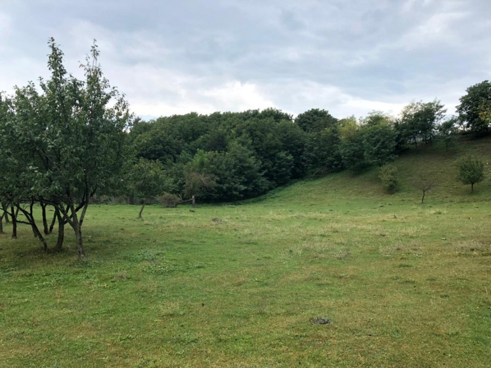 Teren intravilan Vălenii de Munte – 3.000 mp Ideal investiție sau locuinta