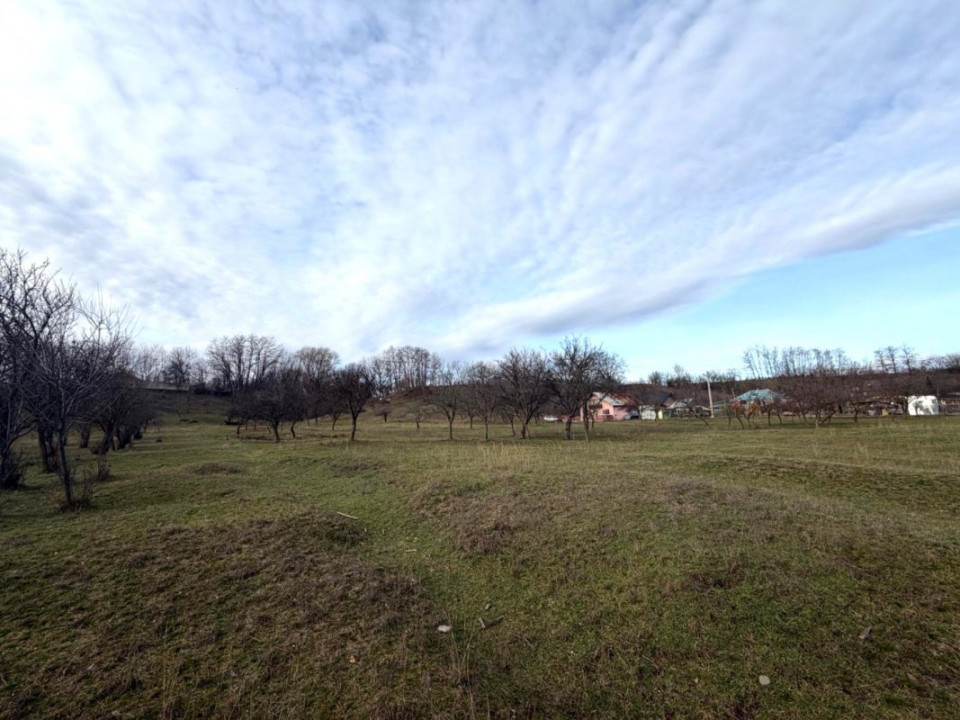 Teren intravilan Vălenii de Munte – 3.000 mp Ideal investiție sau locuinta