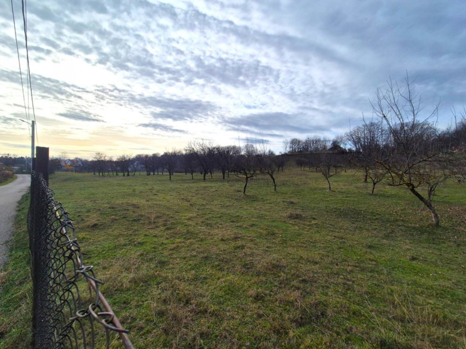 Teren intravilan Vălenii de Munte – 3.000 mp Ideal investiție sau locuinta