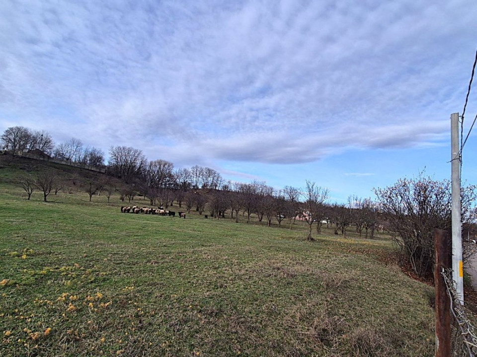 Teren intravilan Vălenii de Munte – 3.000 mp Ideal investiție sau locuinta