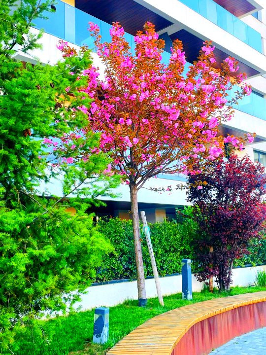 3 camere Premium NUSCO CITY | DRESSING-URI  | PARCARE SUBTERANA | VEDERE GRADINA