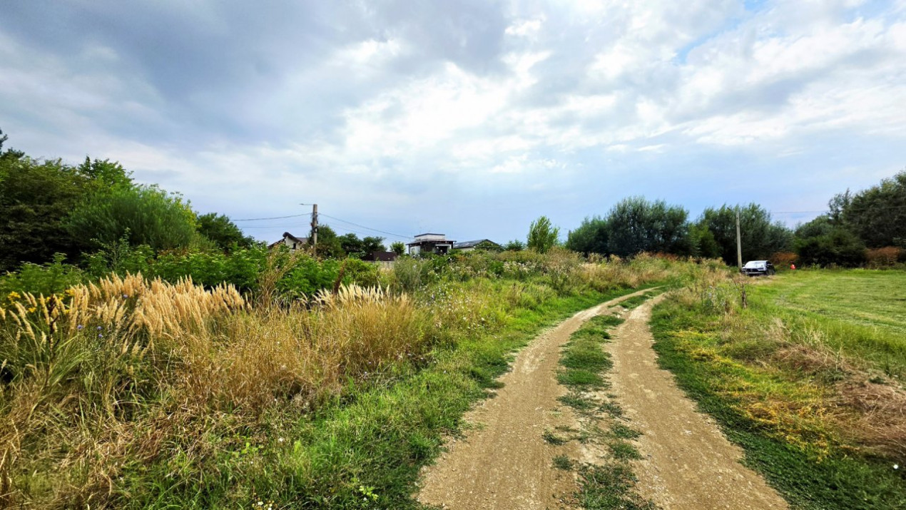 Teren intravilan la Teghes – pozitionare excelenta langa padure
