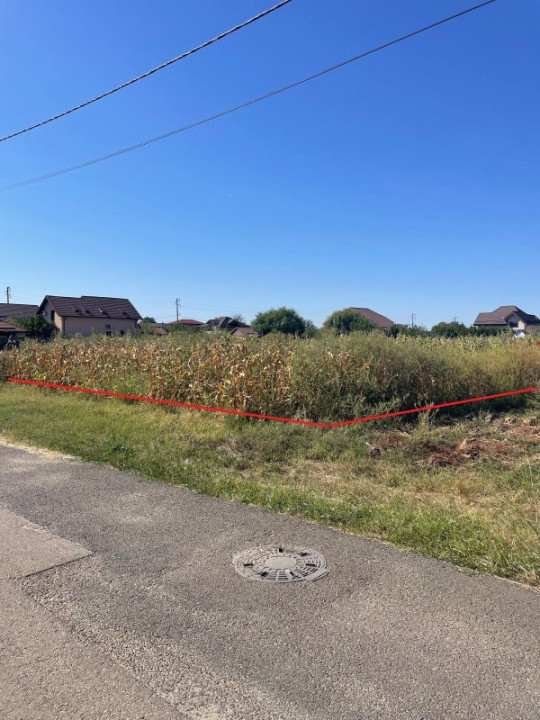 Teren intravilan-Moara Vlasiei 1.008 mp, toate utilitățile, la marginea pădurii