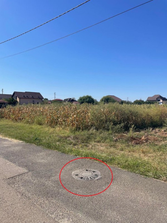 Teren intravilan-Moara Vlasiei 1.008 mp, toate utilitățile, la marginea pădurii