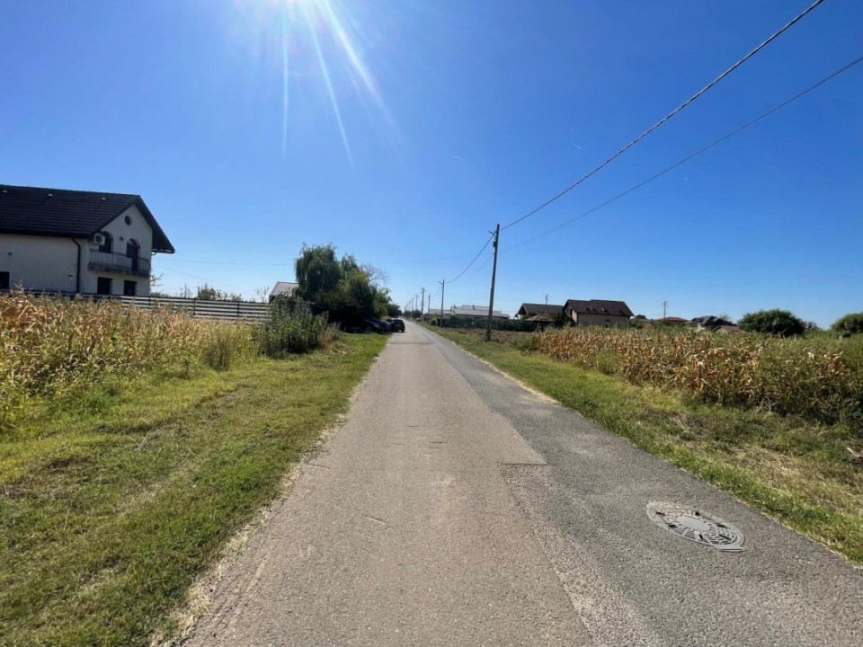 Teren intravilan-Moara Vlasiei 1.008 mp, toate utilitățile, la marginea pădurii