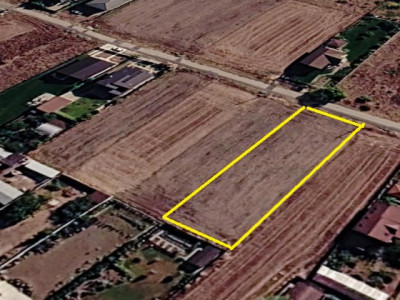 Teren intravilan-Moara Vlasiei 1.008 mp, toate utilitățile, la marginea pădurii