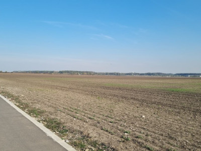 TEREN INTRAVILAN 3.870 MP – BUFTEA | ZONA TAMASI | FRONT STRADAL 32 ML