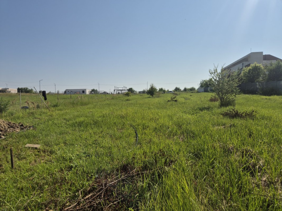  Izvorani - Teren cu deschidere generoasă la lacul Snagov