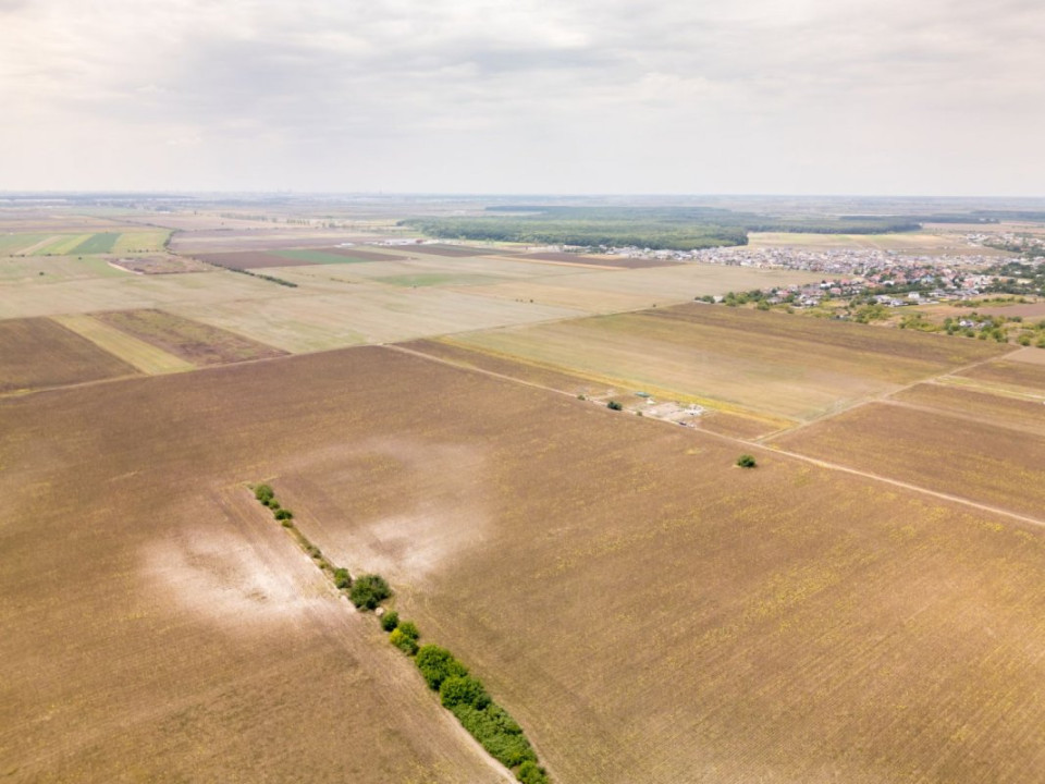 DASCALU – TEREN INTRAVILAN 11300 MP, INVESTITIE! 