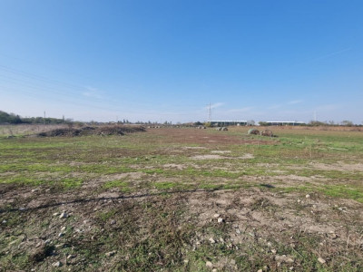 TEREN INTRAVILAN 3.870 MP – BUFTEA | ZONA TAMASI | FRONT STRADAL 32 ML