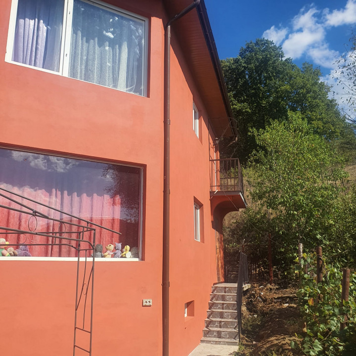 De Vanzare/Schimb, Casa cu Piscina P+1+M, teren de 1786 mp, multiple Anexe