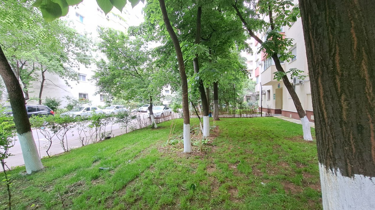 I 4 camere | Deleni – Maica Domnului – Lacul Tei I