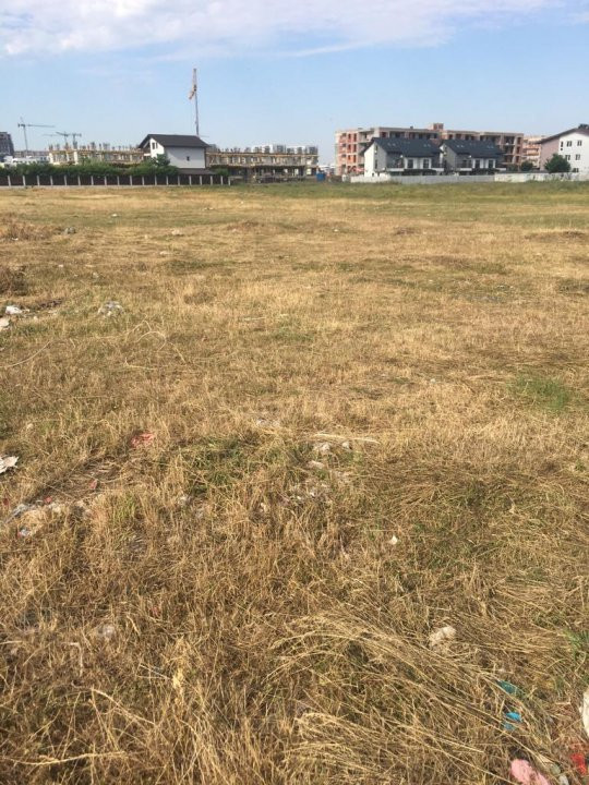 Teren 10.000 mp Policolor Pallady 40 ml deschidere Gura Badicului
