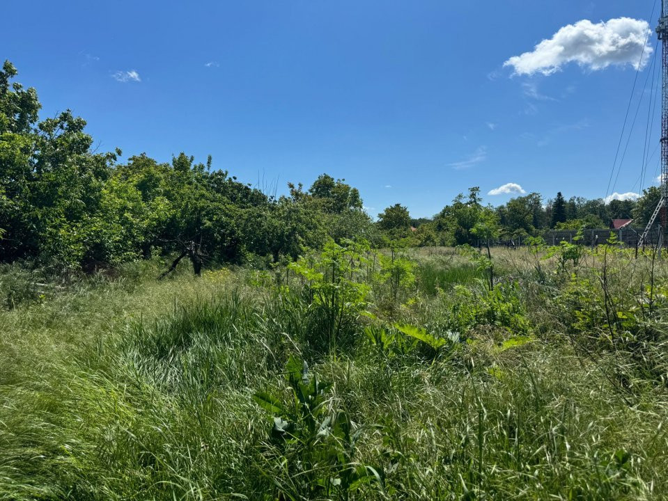 Teren Snagov – Ideal pentru dezvoltare rezidențială sau investiție!