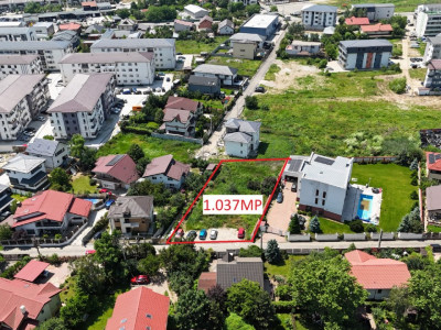 CHIAJNA-ROSU LOT 1037 MP