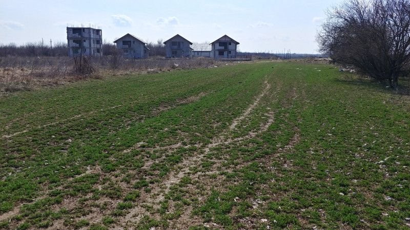 Teren intravilan Măgurele langa padurea Cornetu si Arges