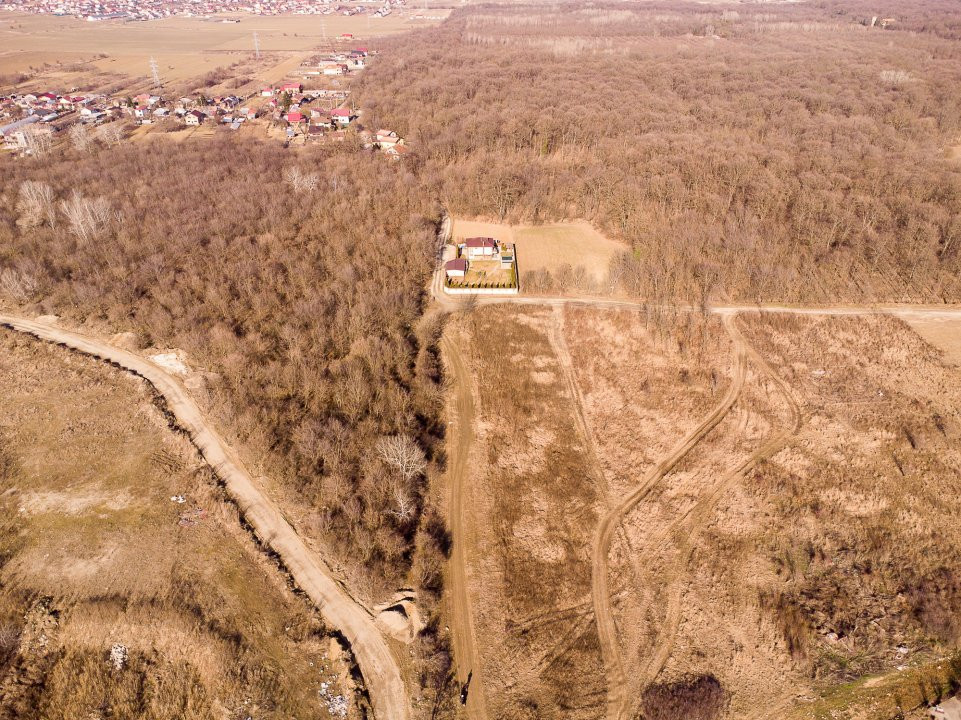 Teren intravilan Măgurele langa padurea Cornetu si Arges