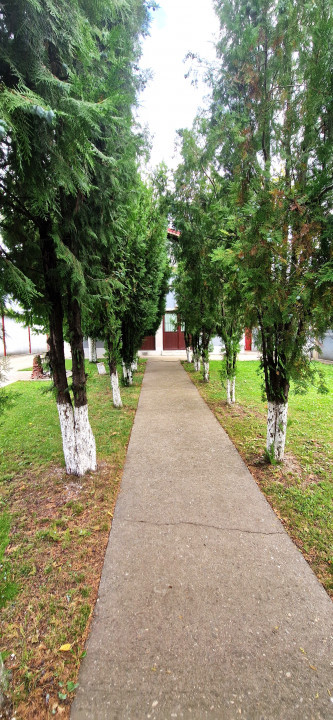 De inchiriat casa individuala in Popesti Leordeni - ideala pentru gradinita 