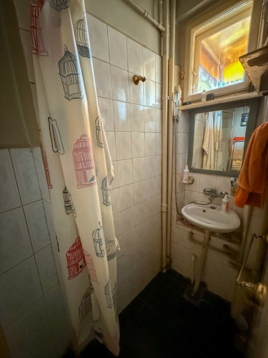 Apartament la Udriste, 200 mp, terasa 40 mp vedere libera