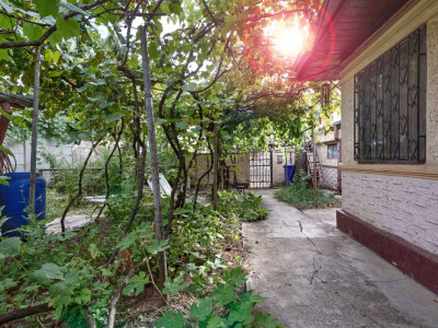 COLENTINA - POEZIEI, CASA RENOVABILA 120 MP, LOT 243 MP! 